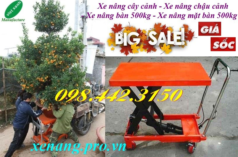 Xe n&acirc;ng chậu c&acirc;y cảnh