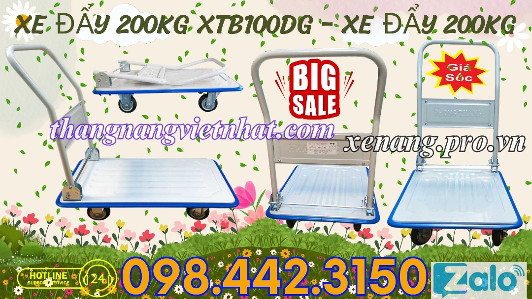 Xe đẩy 200kg XTLB100DG