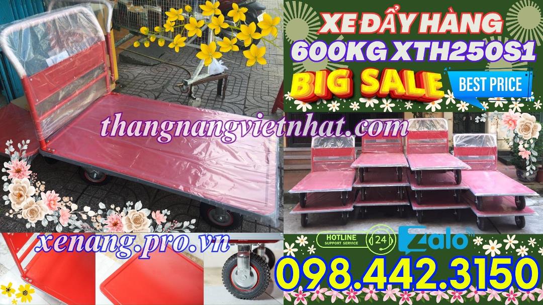 Xe đẩy hàng 600kg mẫu 1
