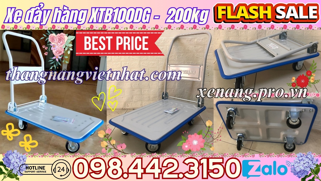 Xe đẩy hàng XT100DG 200kg