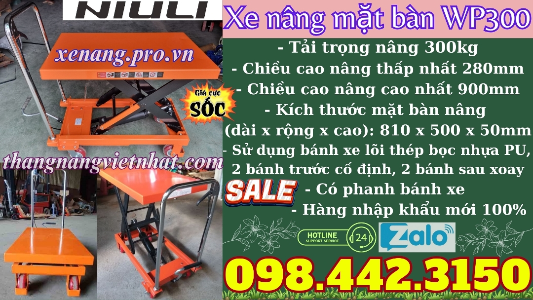 Xe nâng bàn WP300