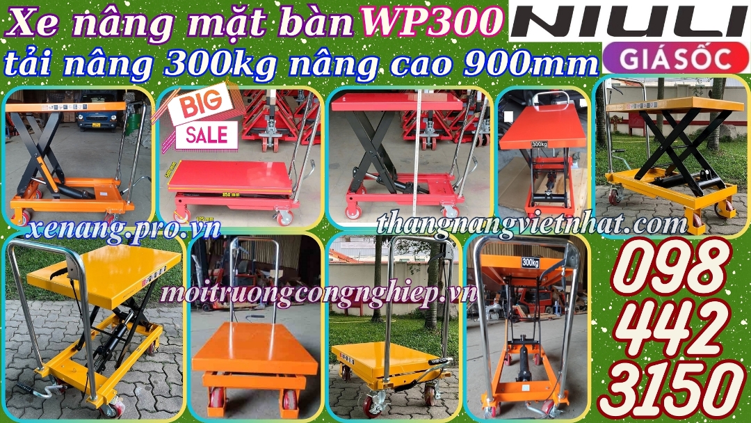Xe nâng mặt bàn WP300 - 300kg nâng cao 900mm