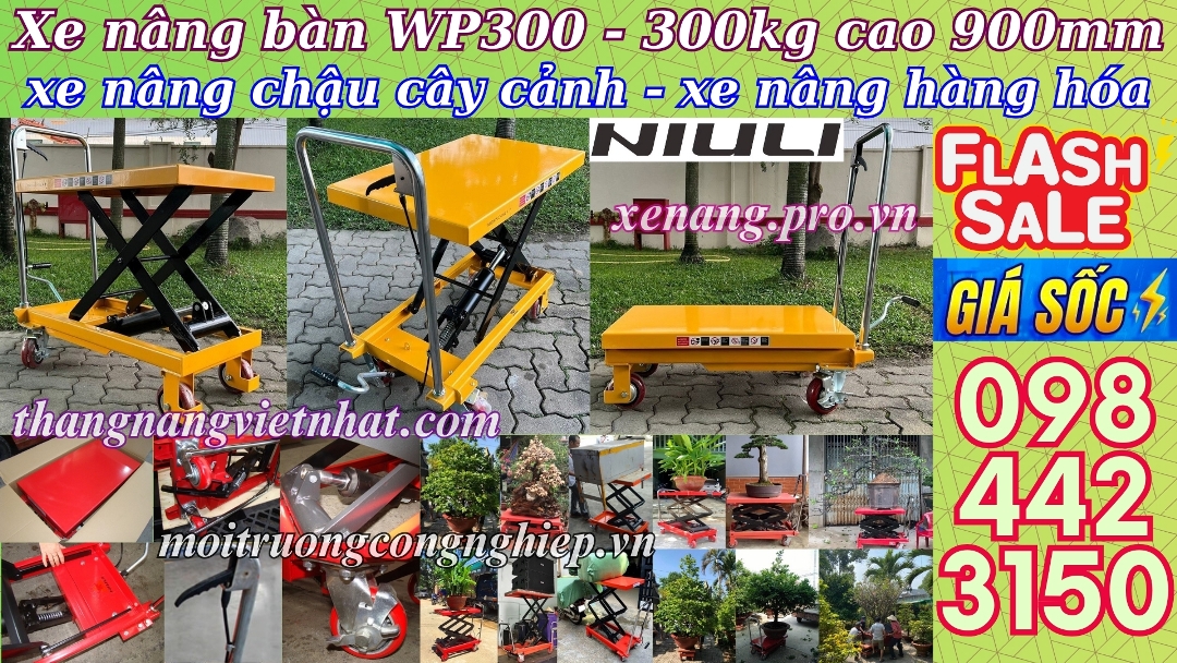 Xe nâng mặt bàn WP300 tải 300kg nâng cao 900mm